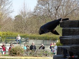 Tiergarten Schönbrunn am 23.03.2023